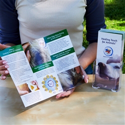 Practitioner Brochures (Personalized)