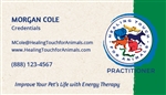 Practitioner Business Card Magnets
