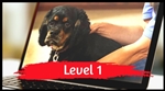 Level 1 Online Course