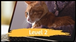 Level 2 Online Course