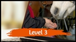 Level 3 Online Course